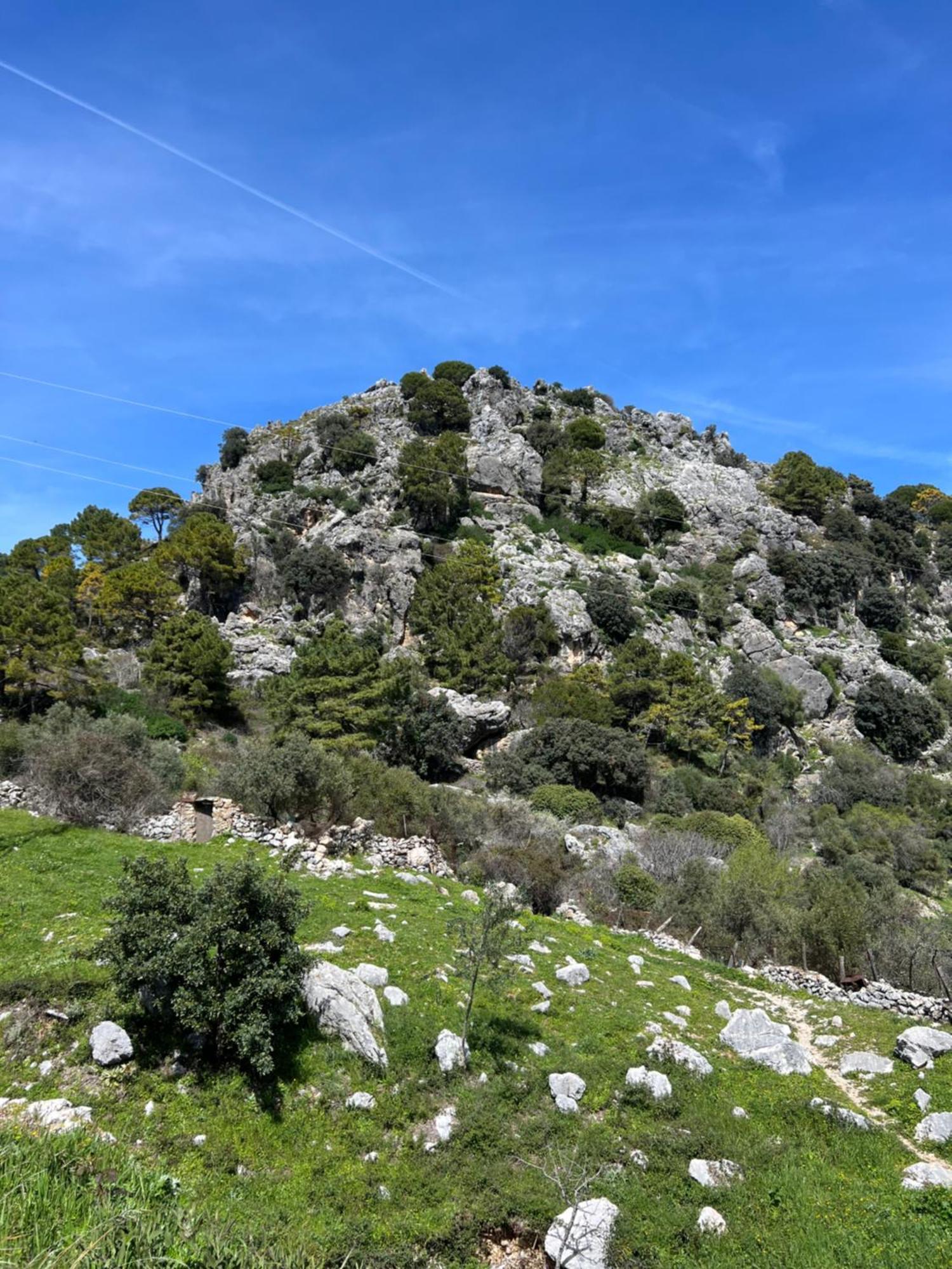 Appartement El Endrinal à Grazalema Extérieur photo