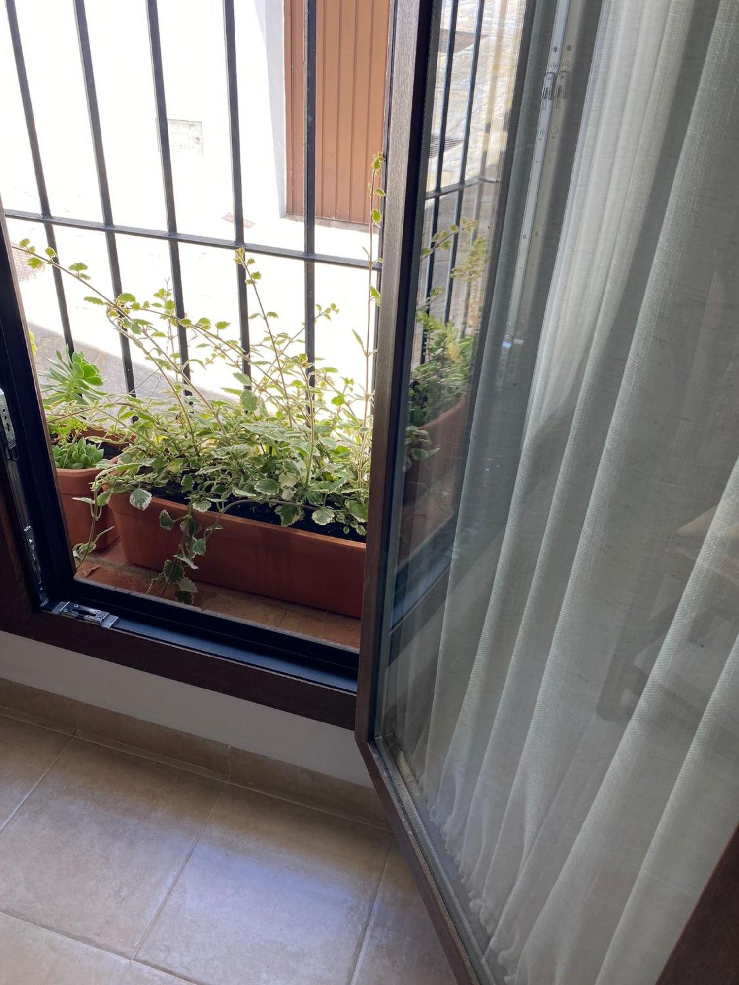 Appartement El Endrinal à Grazalema Extérieur photo